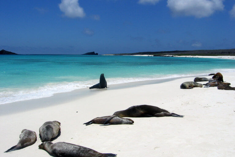 galapagos islands luxury tours