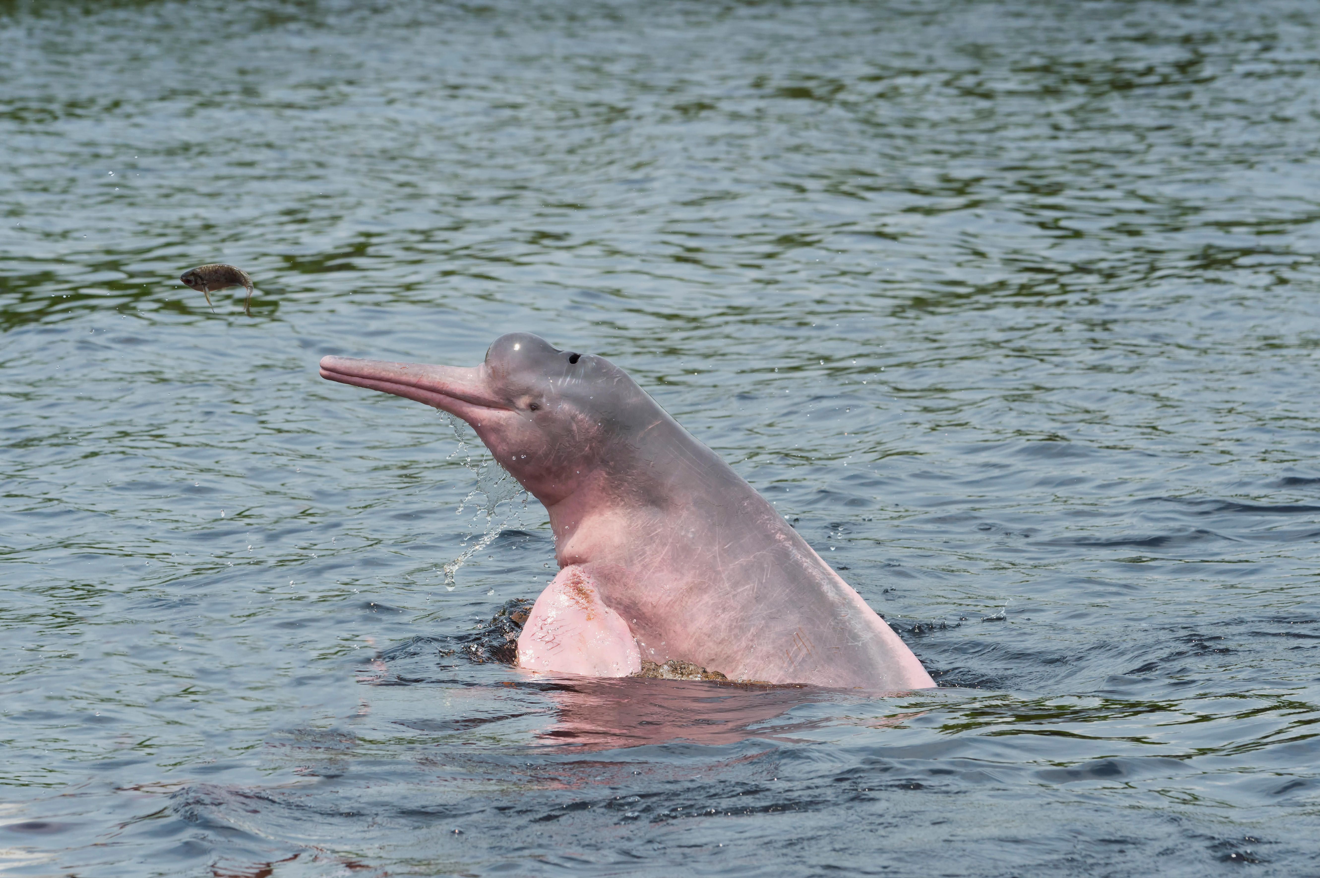 Latin American National Parks | Travel Blog | Blue Parallel