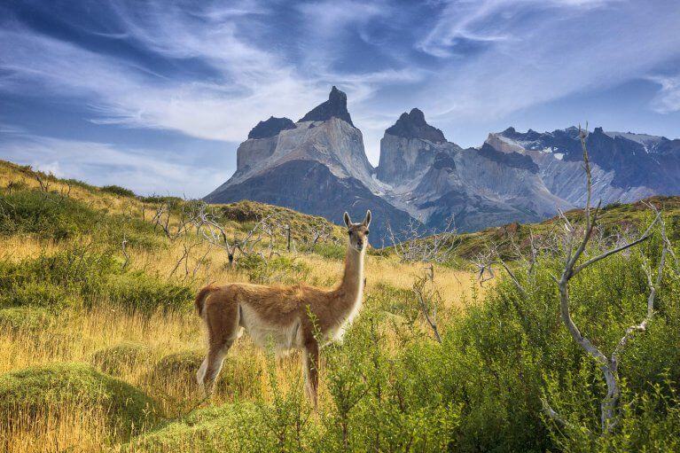 Chile Luxury Tours